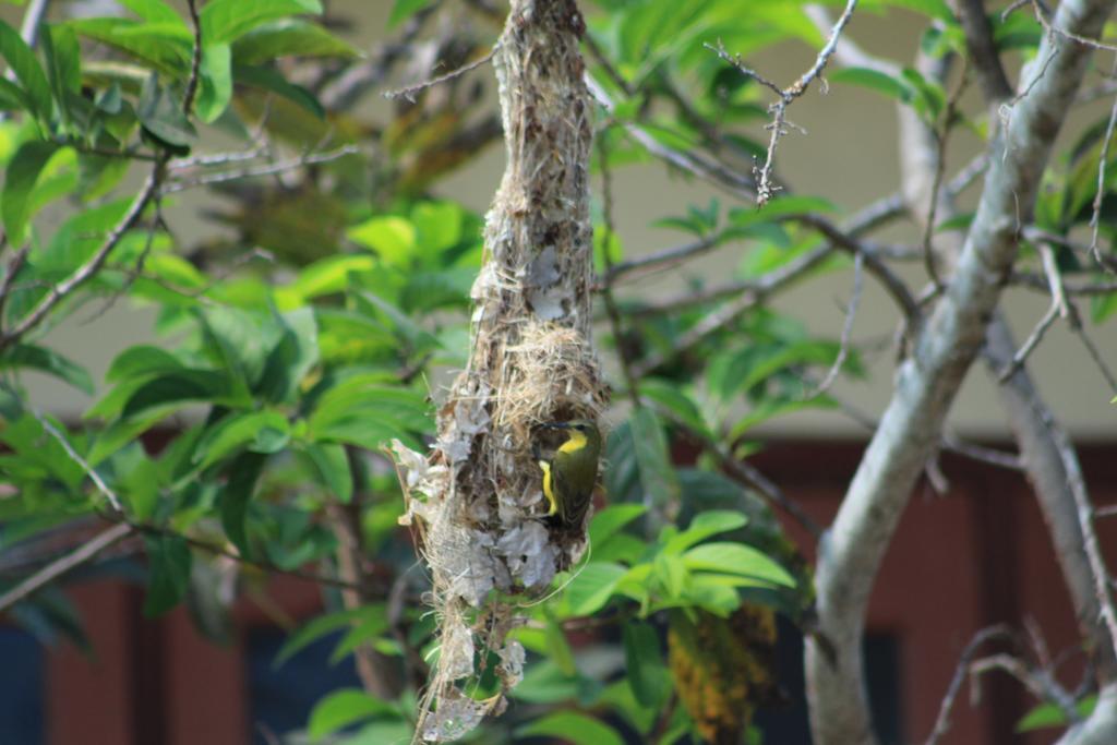 Lala Home Stay Nusa Dua  Ngoại thất bức ảnh
